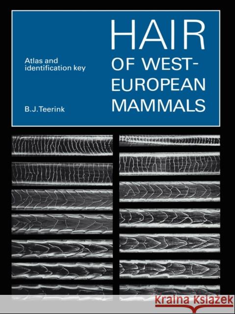 Hair of West European Mammals: Atlas and Identification Key Teerink, B. J. 9780521545778 Cambridge University Press