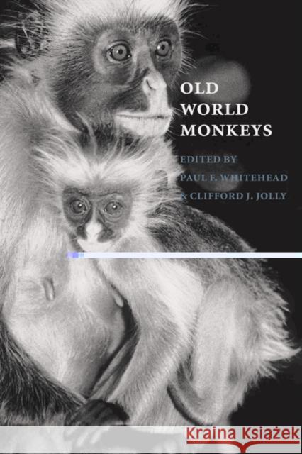 Old World Monkeys Paul F. Whitehead, Clifford J. Jolly (New York University) 9780521571241 Cambridge University Press