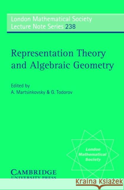 Representation Theory and Algebraic Geometry A. Martsinkovsky G. Todorov J. W. S. Cassels 9780521577892 Cambridge University Press