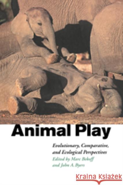 Animal Play Bekoff, Marc 9780521583831 Cambridge University Press