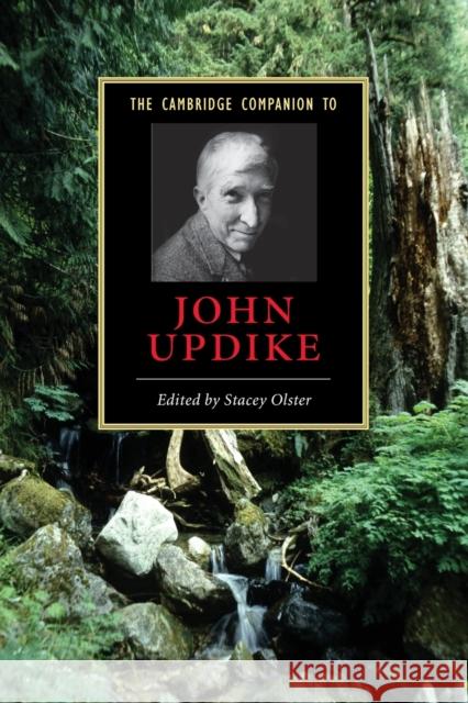 The Cambridge Companion to John Updike Stacey Olster 9780521607308 Cambridge University Press