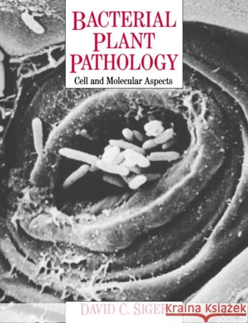 Bacterial Plant Pathology: Cell and Molecular Aspects Sigee, David C. 9780521619677 Cambridge University Press