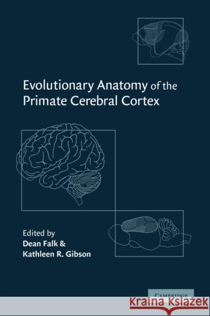 Evolutionary Anatomy of the Primate Cerebral Cortex Dean Falk Kathleen Gibson Stephen Jay Gould 9780521642712 Cambridge University Press