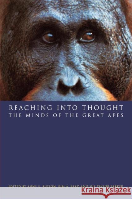 Reaching Into Thought: The Minds of the Great Apes Russon, Anne E. 9780521644969 Cambridge University Press