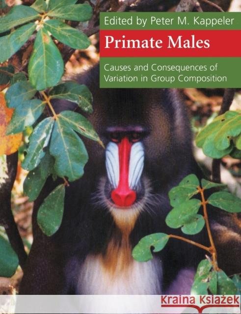 Primate Males: Causes and Consequences of Variation in Group Composition Kappeler, Peter M. 9780521658461