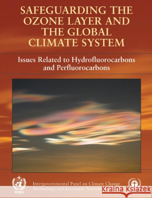 Safeguarding the Ozone Layer and the Global Climate System: Special Report of the Intergovernmental Panel on Climate Change Intergovernmental Panel on Climate Chang 9780521682060 Cambridge University Press