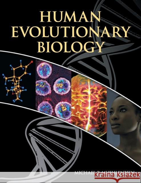 Human Evolutionary Biology Michael Muehlenbein 9780521705103 0