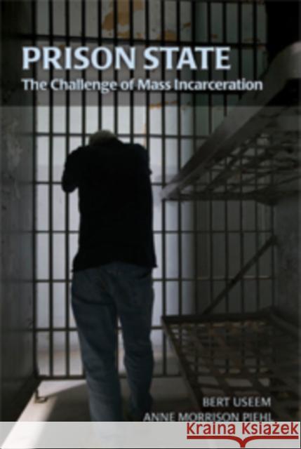 Prison State: The Challenge of Mass Incarceration Useem, Bert 9780521713399 Cambridge University Press