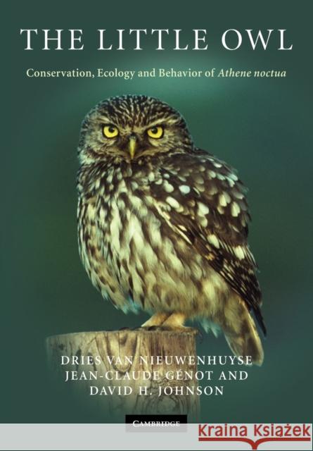 The Little Owl: Conservation, Ecology and Behavior of Athene Noctua Van Nieuwenhuyse, Dries 9780521714204 Cambridge University Press