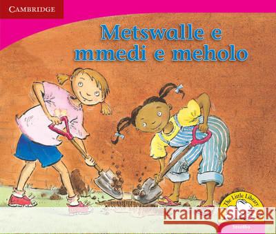 Little Library Literacy: Two Best Friends Sesotho Version Kerry Saadien-Raad   9780521725002