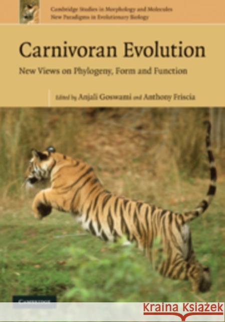 Carnivoran Evolution: New Views on Phylogeny, Form, and Function Goswami, Anjali 9780521735865 0