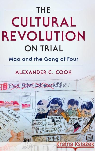 The Cultural Revolution on Trial: Mao and the Gang of Four Alexander C. Cook 9780521761116