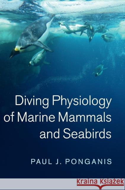 Diving Physiology of Marine Mammals and Seabirds Paul Ponganis 9780521765558 Cambridge University Press