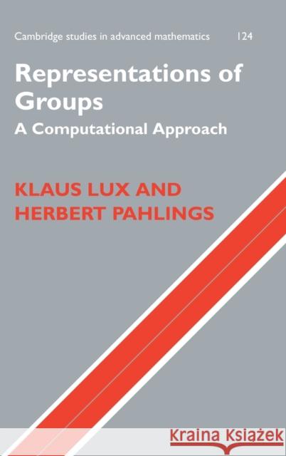 Representations of Groups Lux, Klaus 9780521768078 0