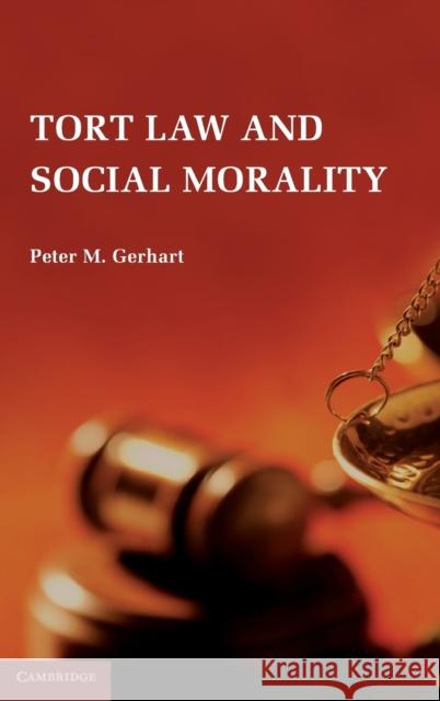 Tort Law and Social Morality  9780521768962 