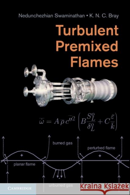 Turbulent Premixed Flames Nedunchezhian Swaminathan Kenneth Bray 9780521769617 Cambridge University Press