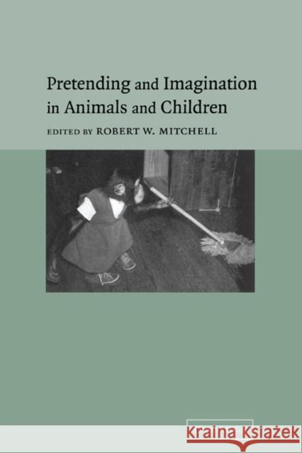 Pretending and Imagination in Animals and Children Robert W. Mitchell 9780521770309 Cambridge University Press