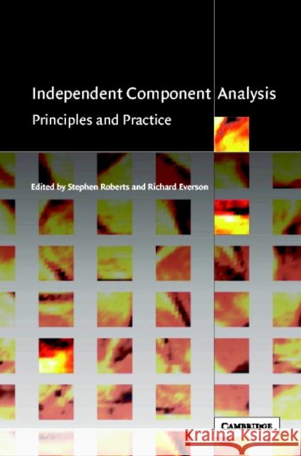 Independent Component Analysis: Principles and Practice Roberts, Stephen 9780521792981