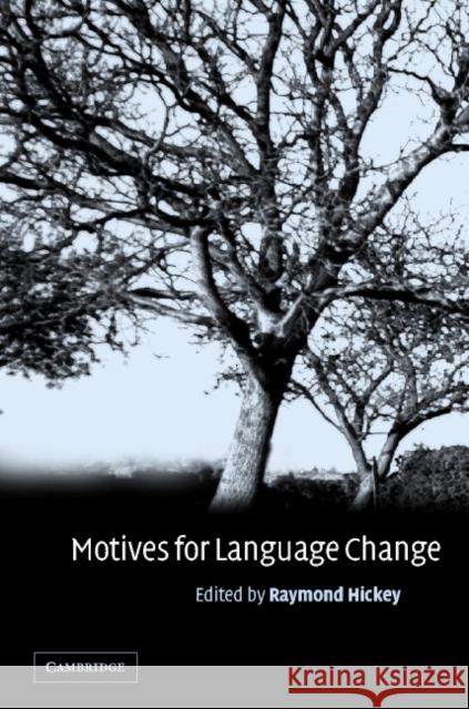 Motives for Language Change Raymond Hickey 9780521793032