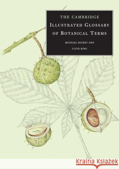 The Cambridge Illustrated Glossary of Botanical Terms Michael Hickey 9780521794015