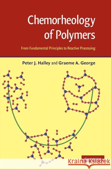 Chemorheology of Polymers: From Fundamental Principles to Reactive Processing Halley, Peter J. 9780521807197 Cambridge University Press