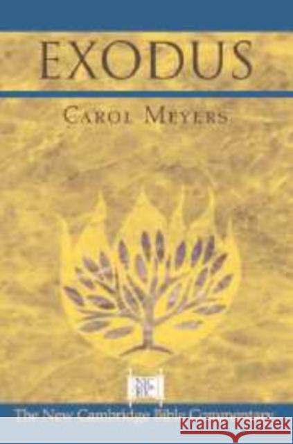 Exodus Carol L. Meyers Ben Witheringto Bill T. Arnold 9780521807814 Cambridge University Press