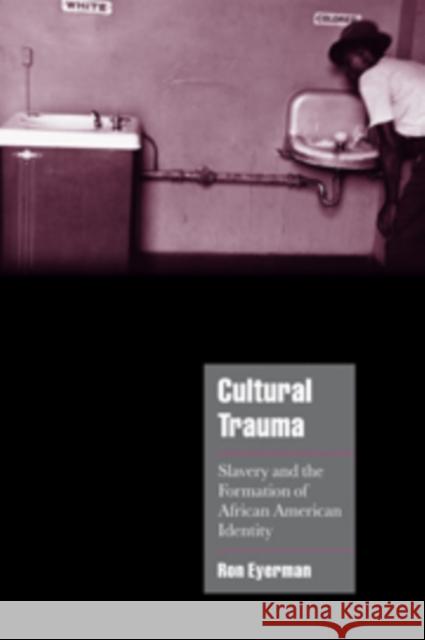 Cultural Trauma: Slavery and the Formation of African American Identity Eyerman, Ron 9780521808286