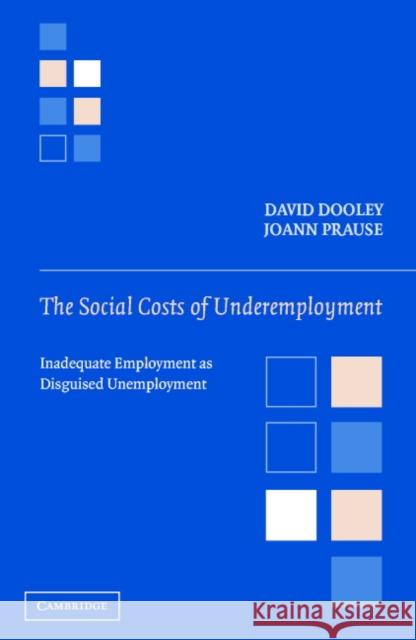 The Social Costs of Underemployment: Inadequate Employment as Disguised Unemployment Dooley, David 9780521810142 Cambridge University Press