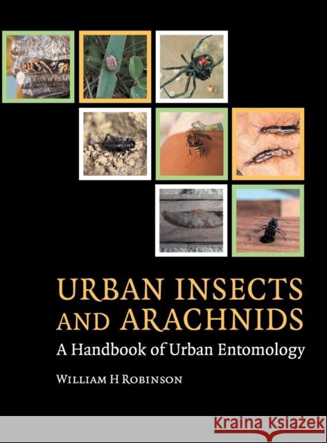 Urban Insects and Arachnids Robinson, William H. 9780521812535 Cambridge University Press