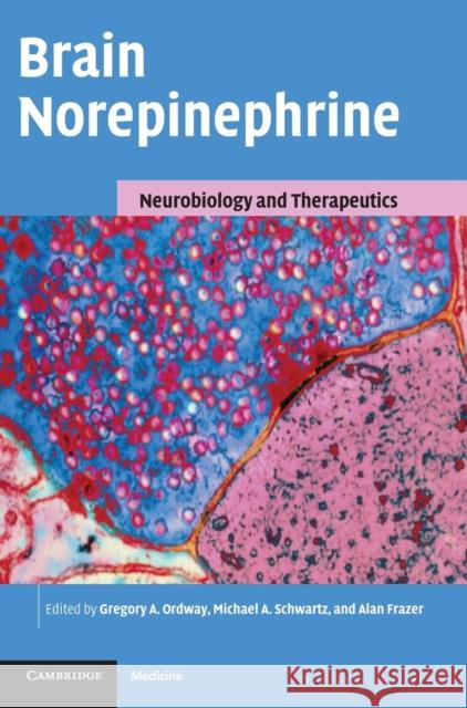 Brain Norepinephrine: Neurobiology and Therapeutics Gregory A. Ordway (University of Mississippi), Michael A. Schwartz (University of Hawaii, Manoa), Alan Frazer (Universit 9780521834919 Cambridge University Press
