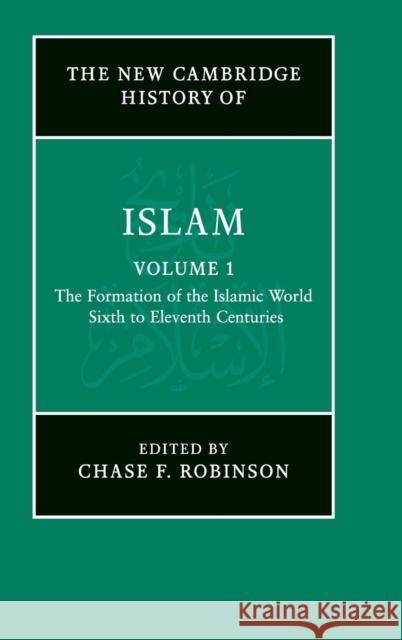 The Formation of the Islamic World V1: Sixth to Eleventh Centuries Robinson, Chase F. 9780521838238