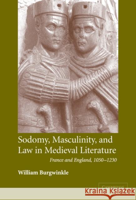 Sodomy, Masculinity and Law in Medieval Literature Burgwinkle, William E. 9780521839686 Cambridge University Press