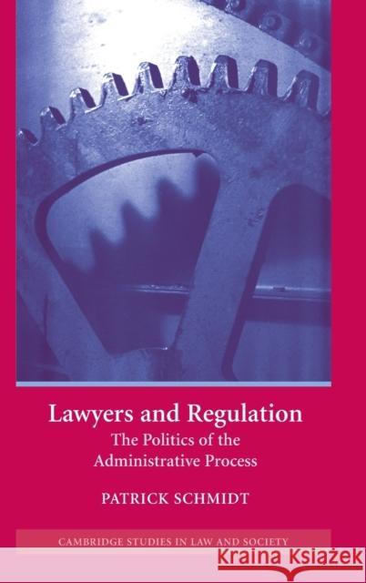 Lawyers and Regulation: The Politics of the Administrative Process Schmidt, Patrick 9780521844659