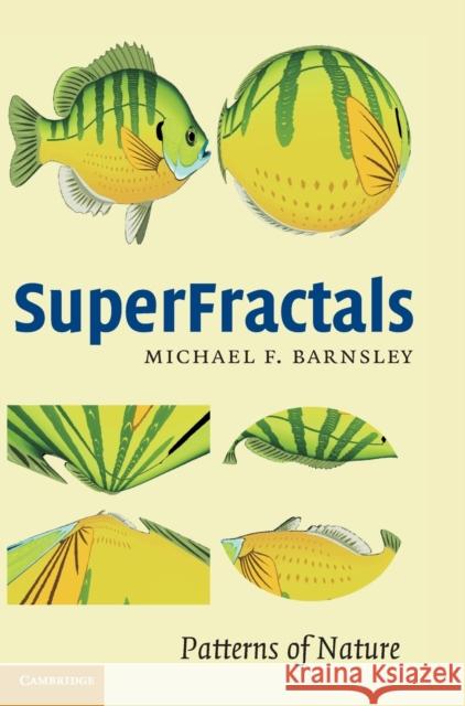 Superfractals Barnsley, Michael Fielding 9780521844932