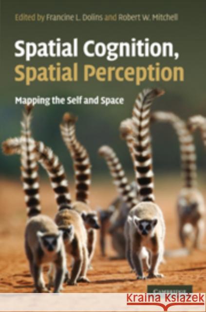 Spatial Cognition, Spatial Perception: Mapping the Self and Space Dolins, Francine L. 9780521845052 0