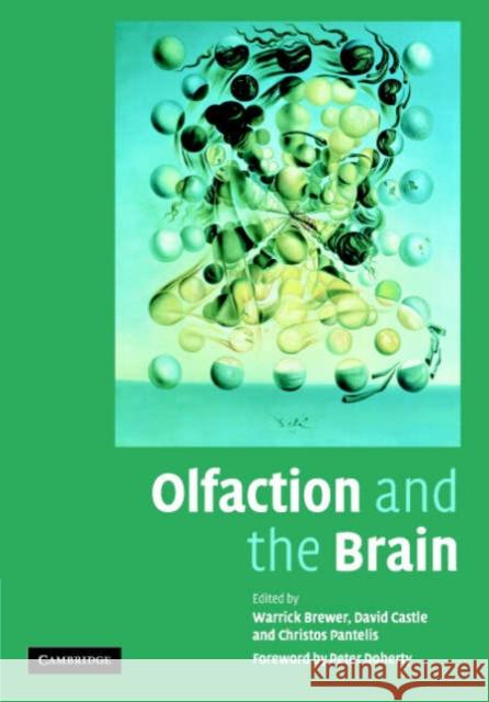 Olfaction and the Brain Warrick Brewer David Castle Christos Pantelis 9780521849227 Cambridge University Press