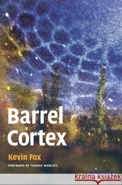 Barrel Cortex Kevin Fox 9780521852173 Cambridge University Press