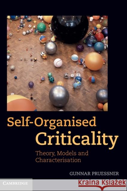Self-Organised Criticality: Theory, Models and Characterisation Pruessner, Gunnar 9780521853354 CAMBRIDGE UNIVERSITY PRESS