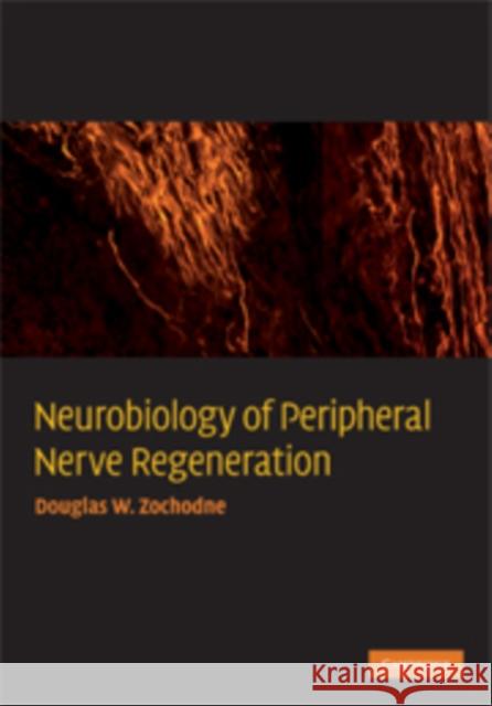 Neurobiology of Peripheral Nerve Regeneration Douglas Zochodne 9780521867177 Cambridge University Press