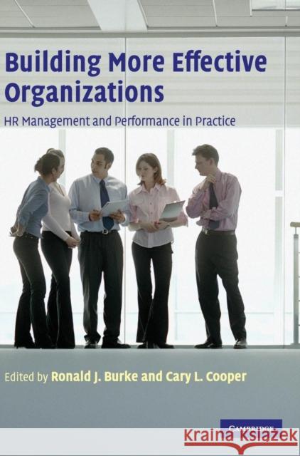 Building More Effective Organizations: HR Management and Performance in Practice Burke, Ronald J. 9780521868549