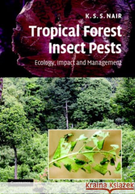 Tropical Forest Insect Pests: Ecology, Impact, and Management Nair, K. S. S. 9780521873321 Cambridge University Press