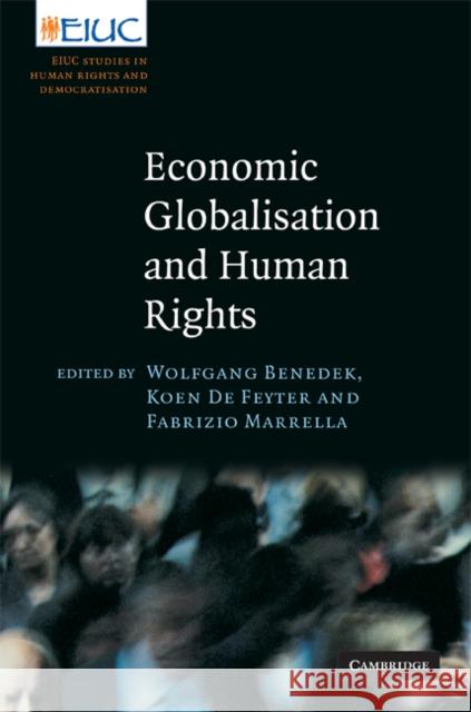 Economic Globalisation and Human Rights Benedek, Wolfgang 9780521878869 Cambridge University Press