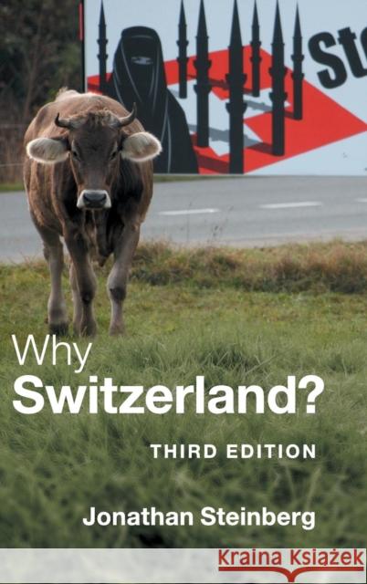 Why Switzerland? Jonathan Steinberg 9780521883078 Cambridge University Press