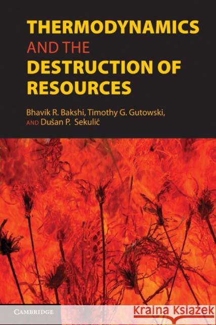 Thermodynamics and the Destruction of Resources Bhavik R. Bakshi Timothy Gutowski Dusan Sekulic 9780521884556 Cambridge University Press