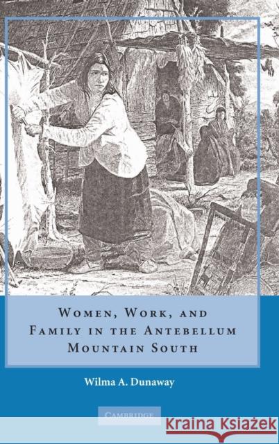 Women, Work, and Family in the Antebellum Mountain South Dunaway, Wilma A. 9780521886192