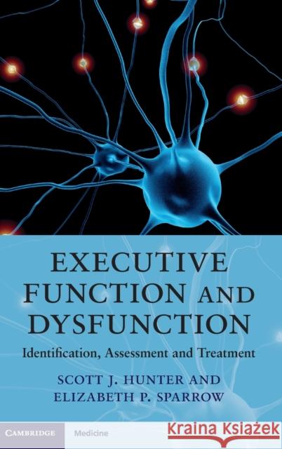 Executive Function and Dysfunction: Identification, Assessment and Treatment Hunter, Scott J. 9780521889766