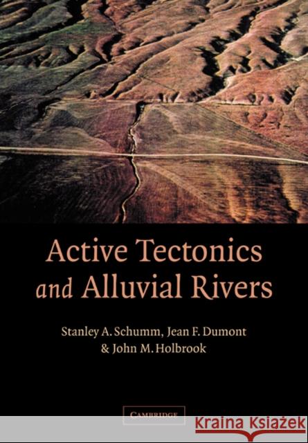 Active Tectonics and Alluvial Rivers Stanley Alfred Schumm Jean F. Dumont John M. Holbrook 9780521890588 Cambridge University Press