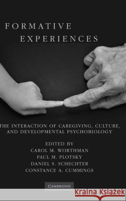 Formative Experiences Worthman, Carol M. 9780521895033