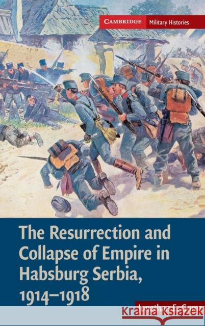 The Resurrection and Collapse of Empire in Habsburg Serbia, 1914-1918: Volume 1 Jonathan E. Gumz 9780521896276 Cambridge University Press