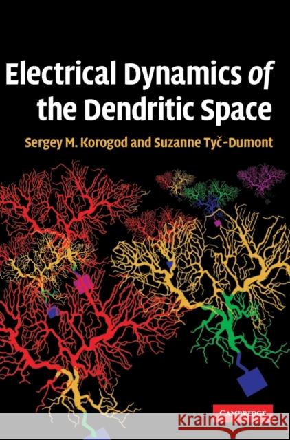 Electrical Dynamics of the Dendritic Space Serge Korogod 9780521896771 Cambridge University Press